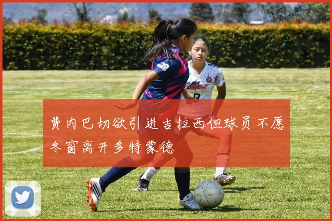 费内巴切欲引进吉拉西但球员不愿冬窗离开多特蒙德