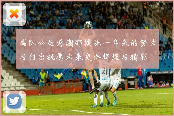 离队公告感谢邵镤亮一年来的努力与付出祝愿未来更加辉煌与精彩