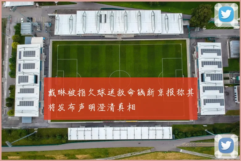 戴琳被指欠球迷救命钱新京报称其将发布声明澄清真相
